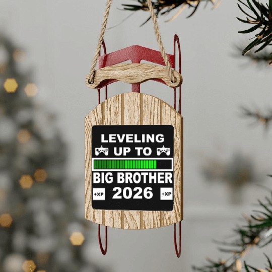 Leveling Up to Big Brother 2026 Gaming Theme Sled Ornaments
