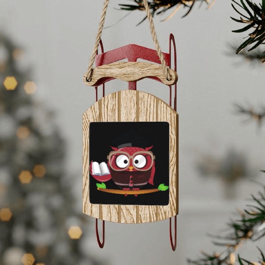 Every Student Can Learn Owl Quote Saying Teacher Sled Ornaments
