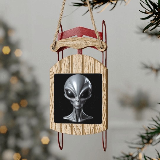 Real Alien Grey Extraterrestrial Sled Ornaments