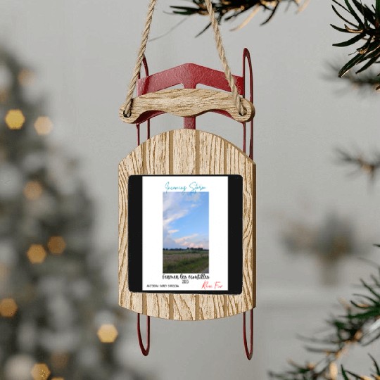 Incoming Storm 2025 Sled Ornaments