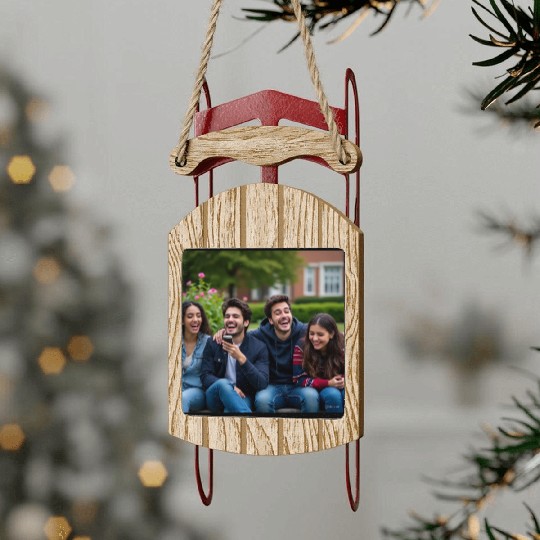 Joyful Group Friendship Illustration Sled Ornaments