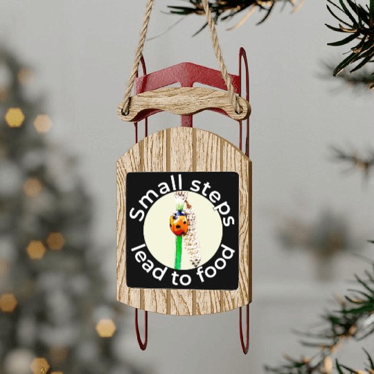 Small Steps – Ladybug White Text Sled Ornaments