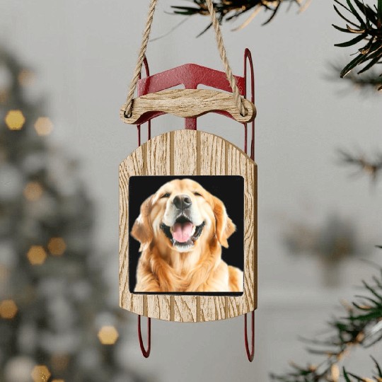 Joyful Golden Retriever Illustration Sled Ornaments