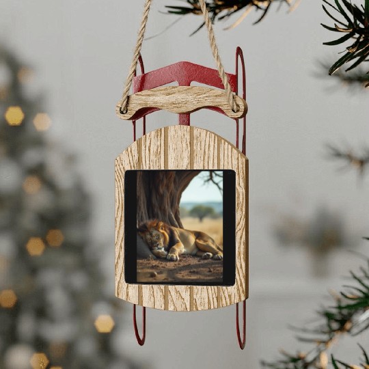 Serene African Lion Resting Scene Sled Ornaments