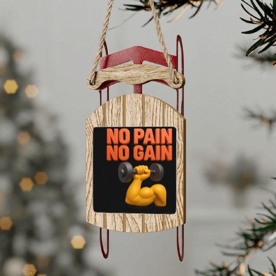 No Pain No Gain 3D Gym Motivation Design Sled Ornaments