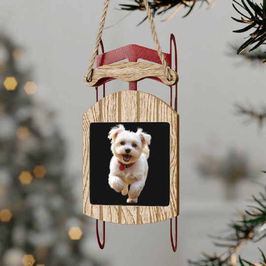 Joyful Puppy Run Illustration Sled Ornaments