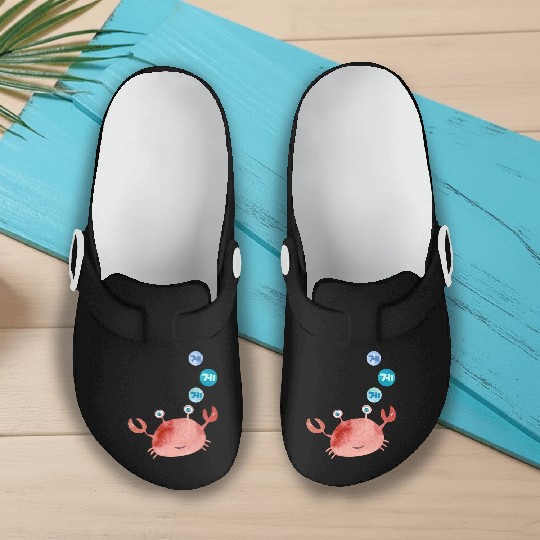 Korean Crab Slip On Clogs