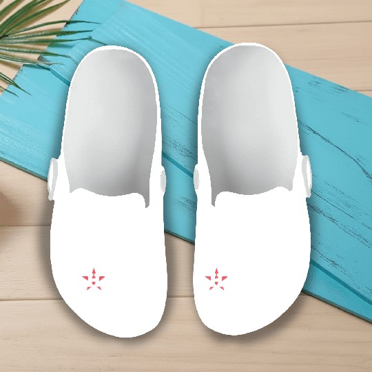 Houston Astros Hate Us Slip On Clogs