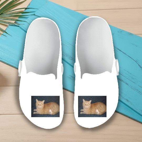 Relaxed Orange Tabby Cat Illustration Slip On Clogs