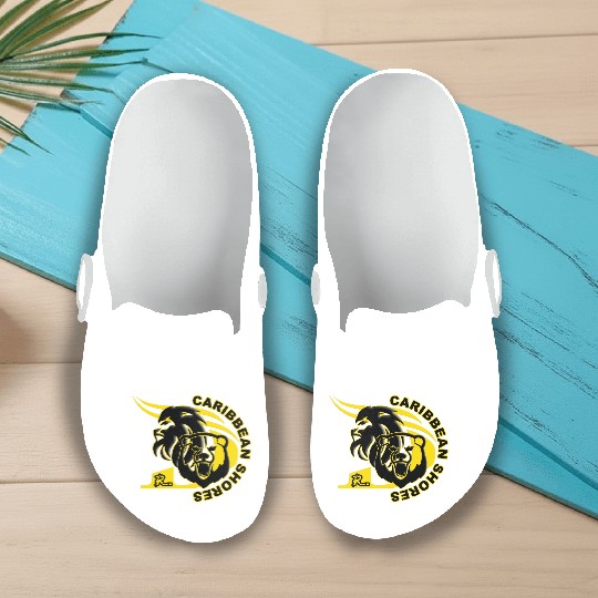 6 Dr lion bear Slip On Clogs