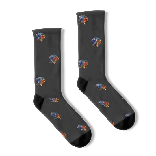 Disney Kingdom Hearts Sora Riku Chain Of Memories Socks