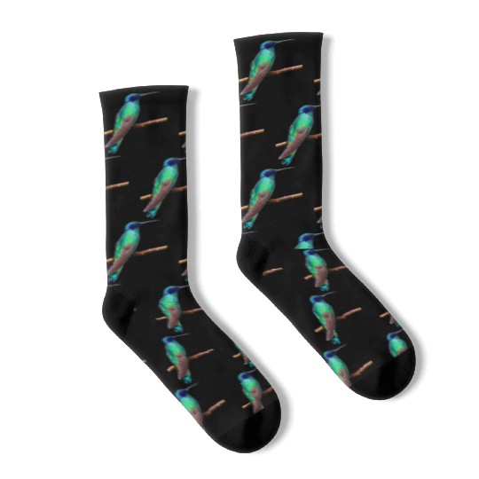 Hummingbird Socks