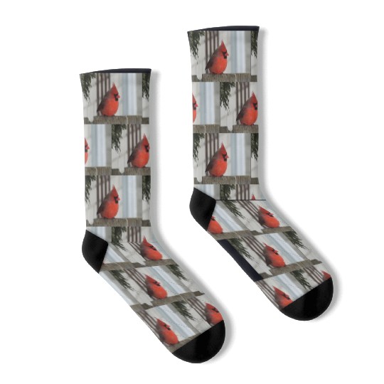 Brilliant Cardinal Bird 2 Socks