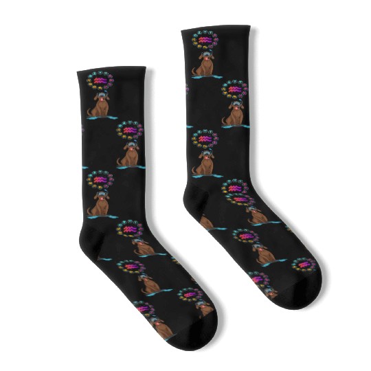 Funny Dog Lover Horoscope Aquarius Zodiac Sign Pun Socks