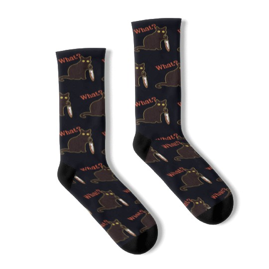 What - cat owner Socks