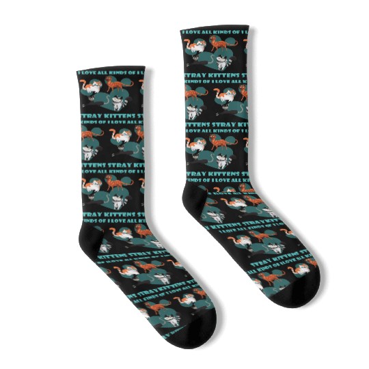 I love all kinds of stray cats stray kitten rescue Socks