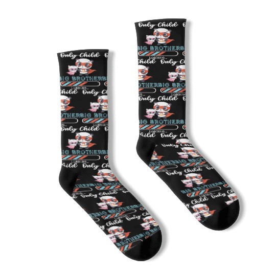 Big brother super hero panda cat Socks