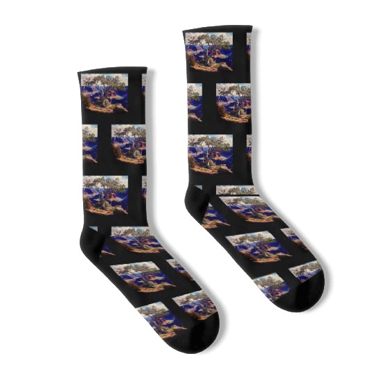 Mountain Hiking Camping Trip National Park Visit Socks