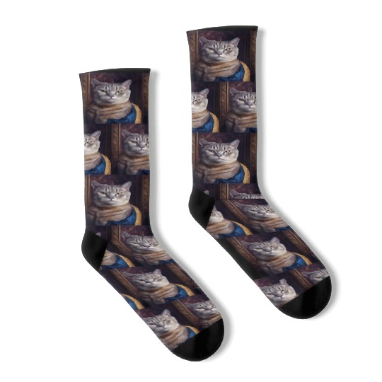 American Shorthair Cat Breed Portrait Royal Renais Socks