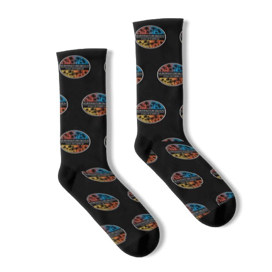 Huntington Beach California Stylish Vacation Socks