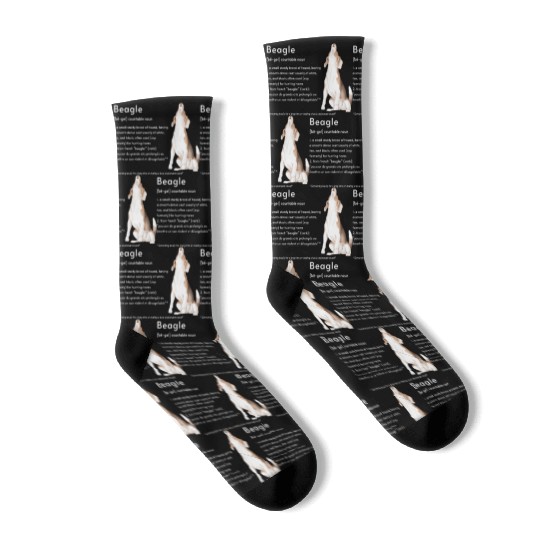 Beagle Definition PWBTS Socks