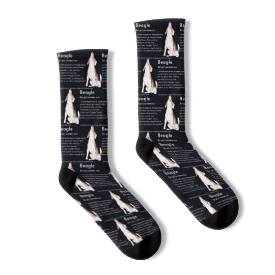 Beagle Definition PWBTS Socks