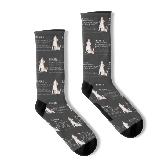Beagle Definition PWBBS Poster Socks