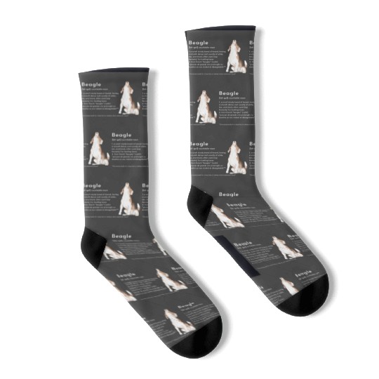 Beagle Definition PWBBS Poster Socks