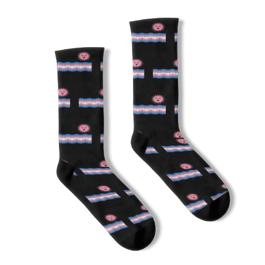 Have A Nice Day And Protect Our Trans Siblings Socks