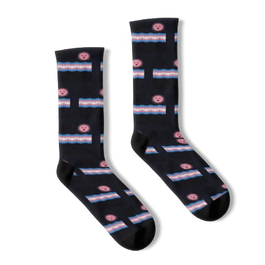 Have A Nice Day And Protect Our Trans Siblings Socks