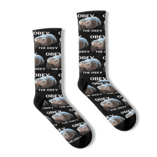 Obey The Grey - African Grey Parrot Socks