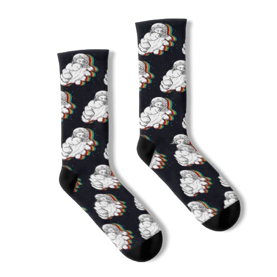Tardigrade Socks, Tardigrade In Space