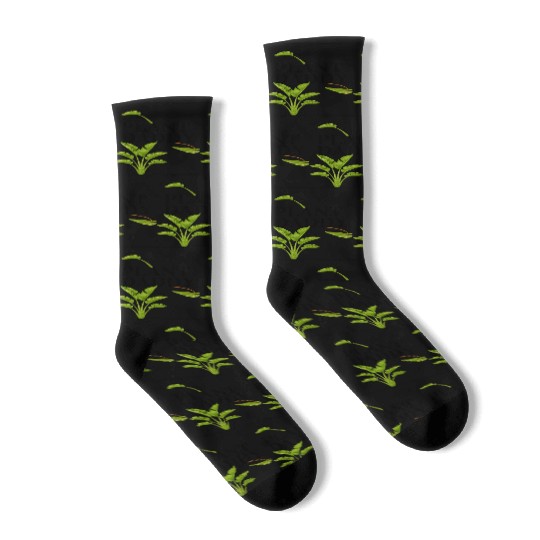 Plant Daddy Socks