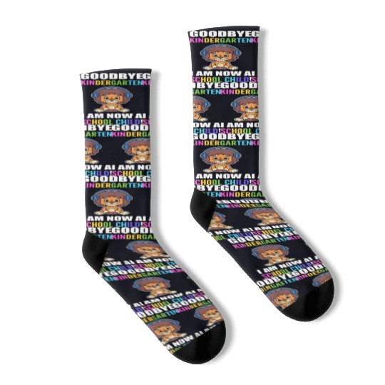 School Child Motivated Student Gift Socks