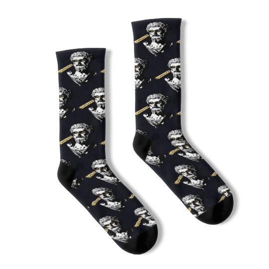 Embrace It Marcus Aurelius Funny Socks