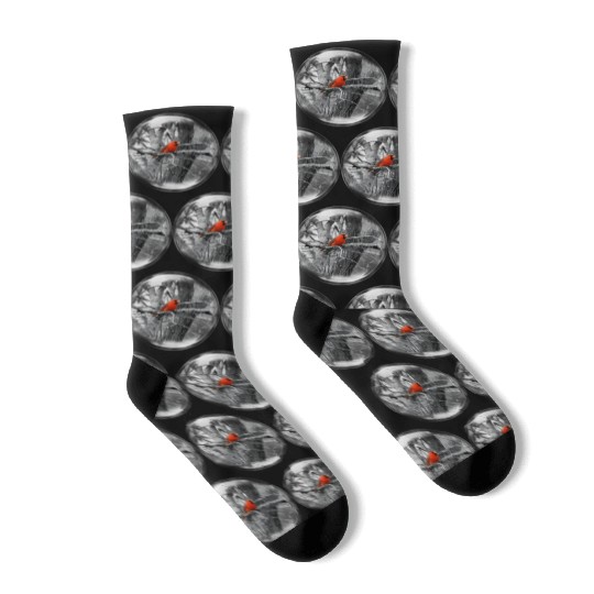 Life in a Bubble Collection -Contrasting Cardinal Socks