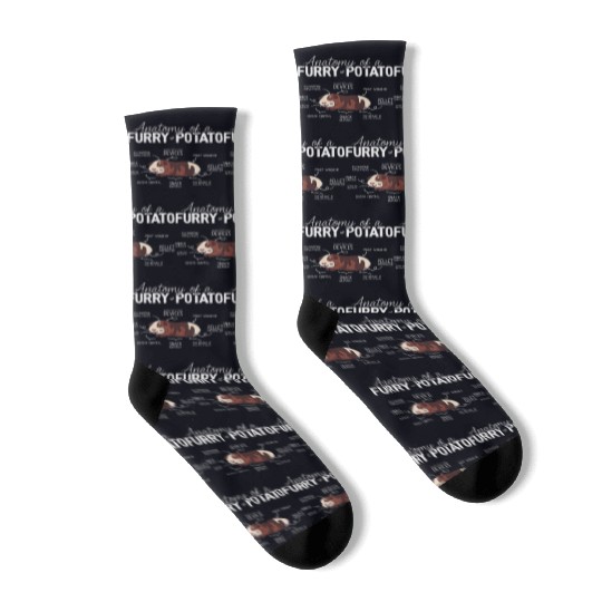 Guinea Pig Anatomy, Guinea Pig Lover, Guinea Pig Socks