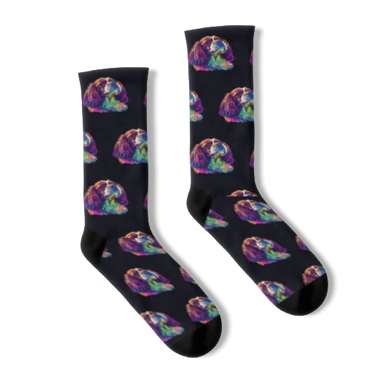 Cavalier King Charles Spaniel Illustration Rainbow Socks