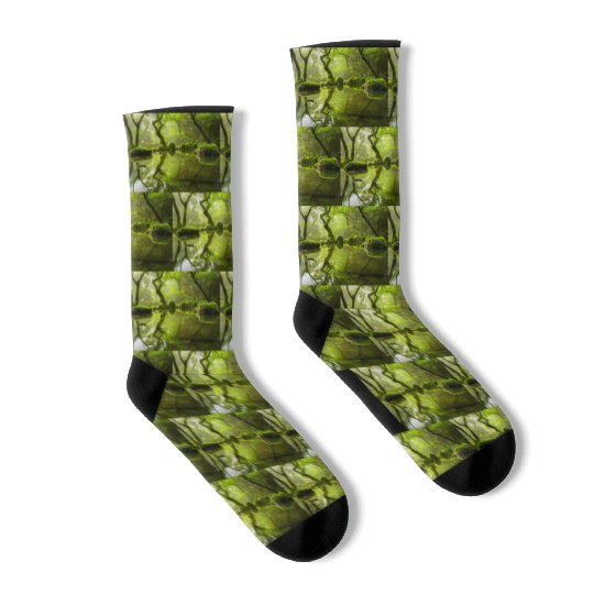 Enchanted Forest Reflections in Tranquil Pond Socks