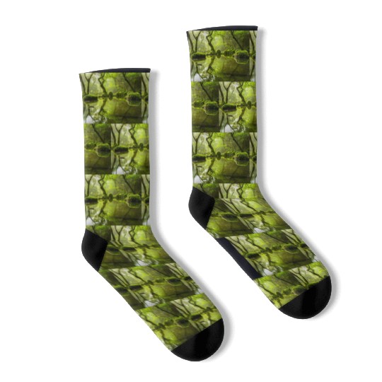 Enchanted Forest Reflections in Tranquil Pond Socks