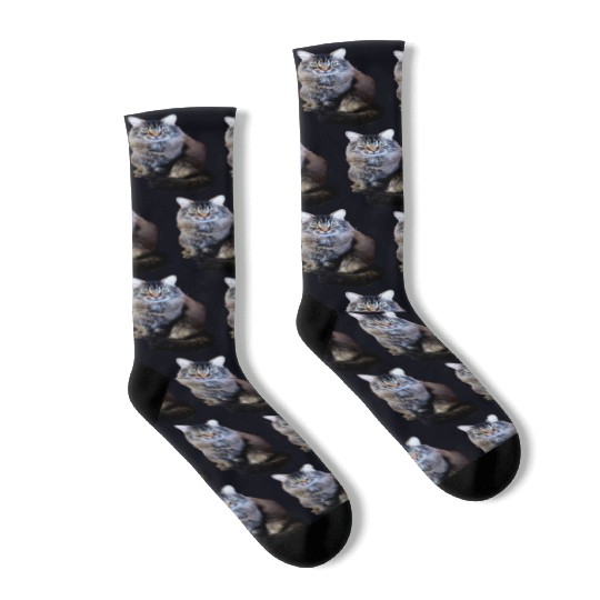 Indie the Cute Cat Socks
