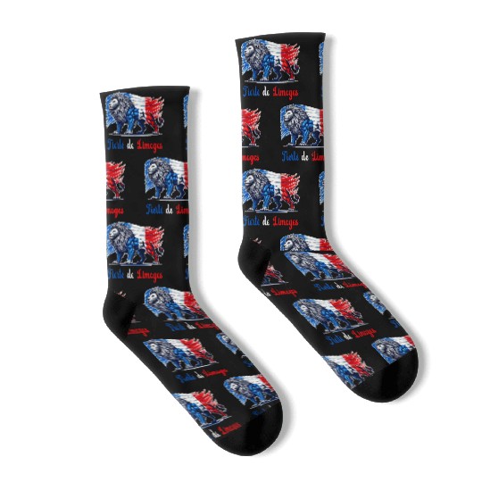 The pride of Lille flag design Socks