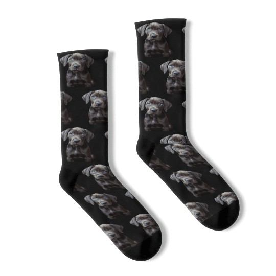 Great Dane Socks