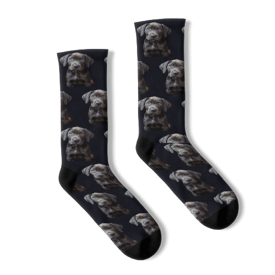 Great Dane Socks
