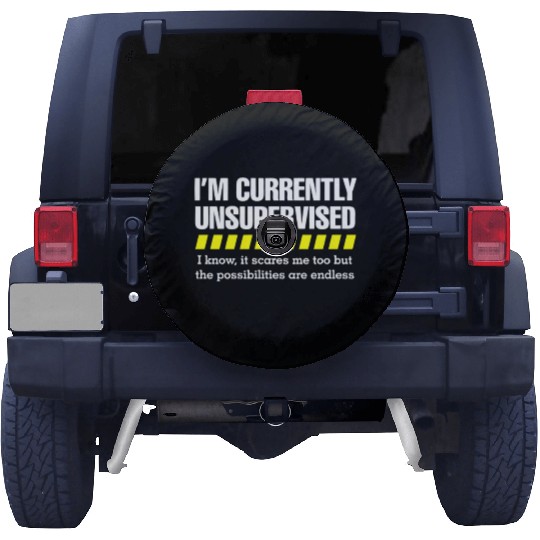 Unsupervised Spare Tire Covers