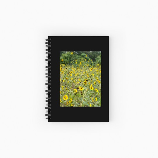 My Photography - Swamp Sunflowers in Texas Spiral Notebooks   Ruled Line