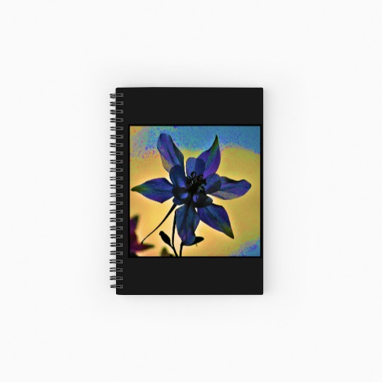 Columbine Color Spiral Notebooks   Ruled Line