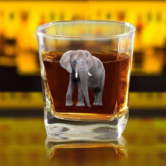 Elephant Square Whiskey Glasses