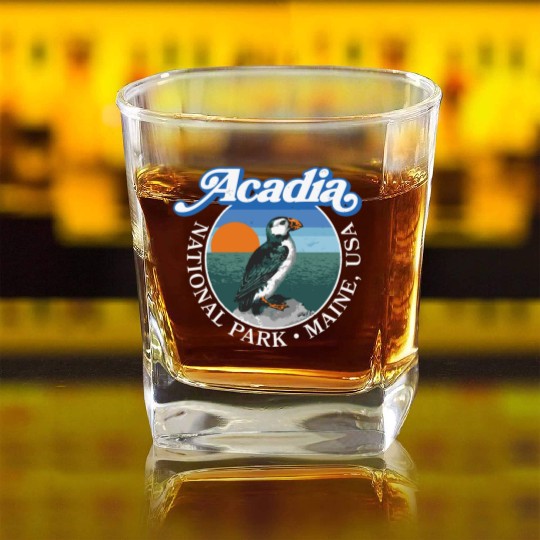 Retro Acadia National Park Vintage Maine Puffin Square Whiskey Glasses