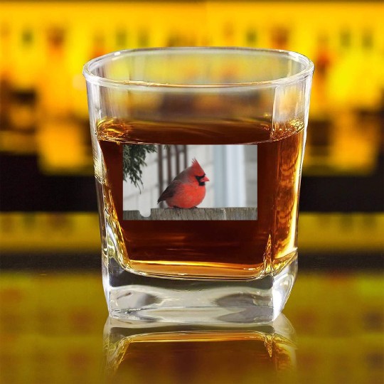 Brilliant Cardinal Bird 2 Square Whiskey Glasses
